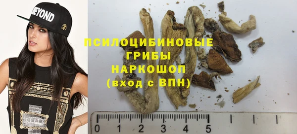 ГАЛЛЮЦИНОГЕННЫЕ ГРИБЫ Алзамай