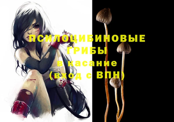 ГАЛЛЮЦИНОГЕННЫЕ ГРИБЫ Алзамай